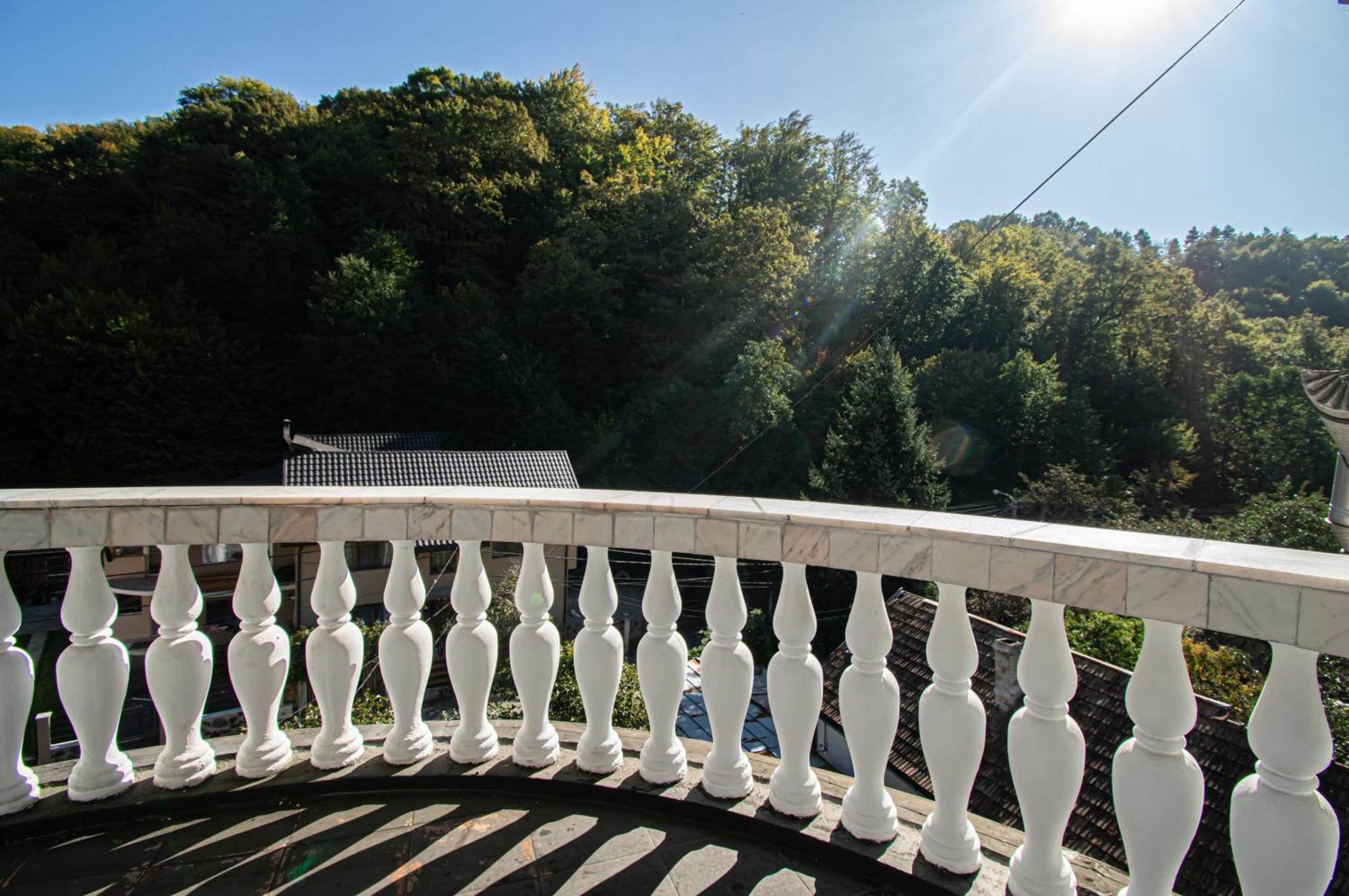 Pensiune Forest Park Baia Mare Luaran gambar